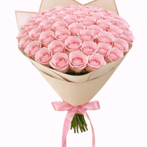 50 light pink roses