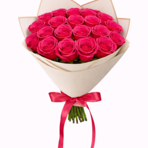 25 hot pink roses